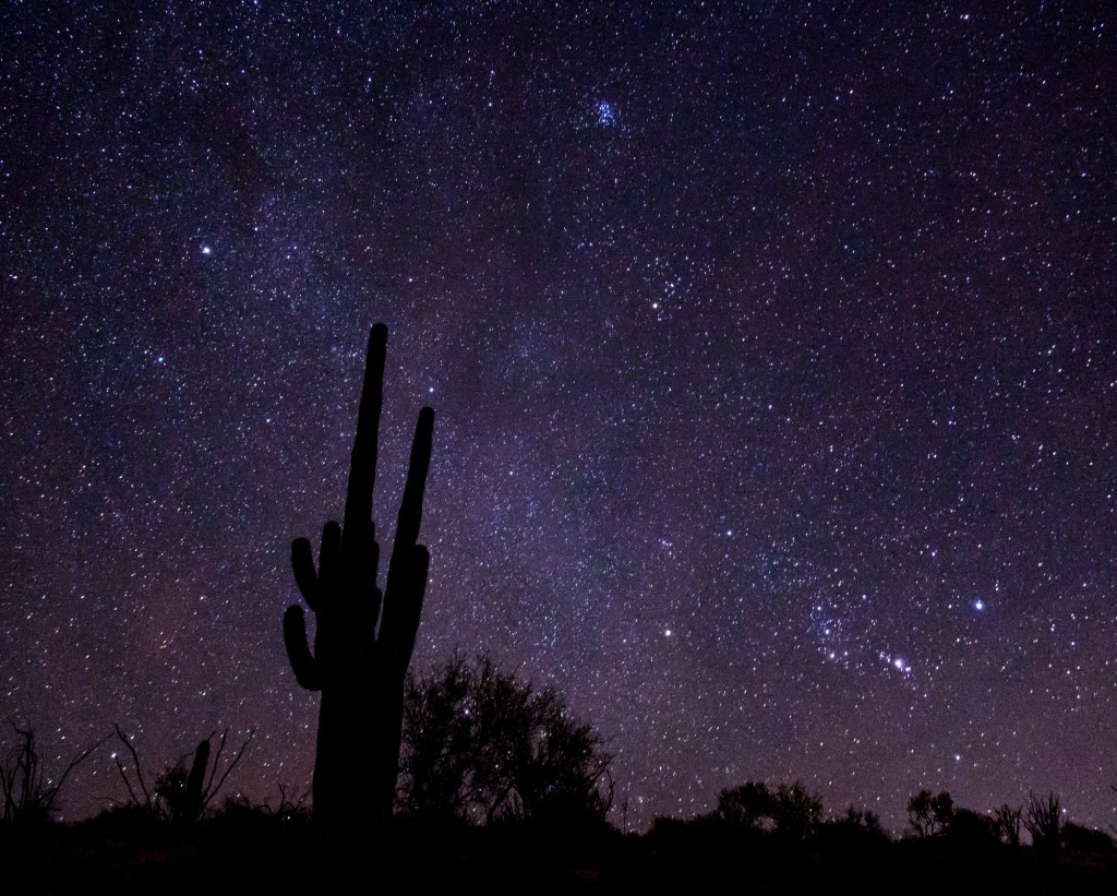 Cactus and stars in Arizona